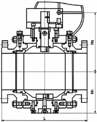 鍛鋼固定球閥結(jié)構(gòu)圖